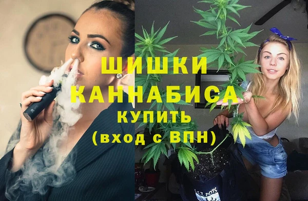 гашик Волосово