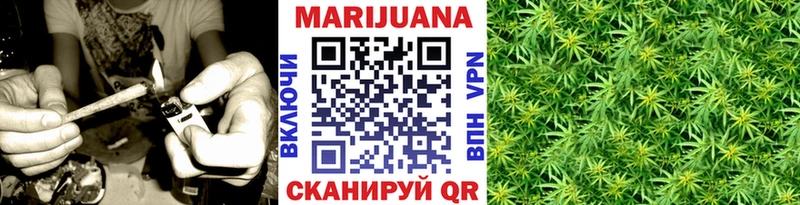 Купить закладки  Спасск-Рязанский  Конопля ГИДРОПОН 